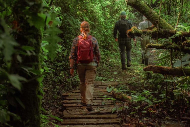 Embracing the Wild: Unleashing the Adventurer Within